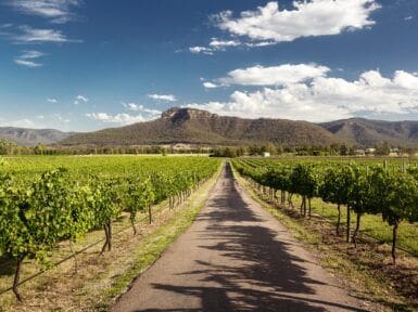 top 5 things to do in the hunter valley