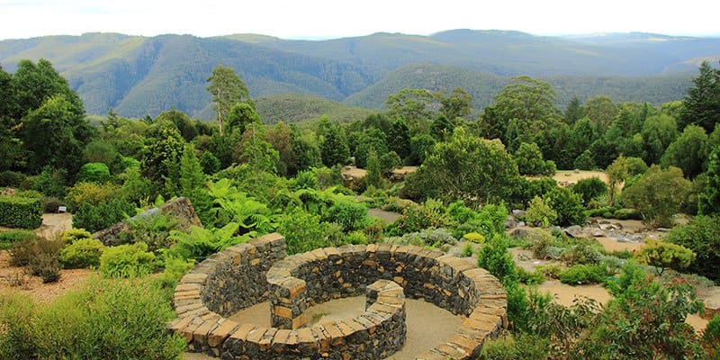 Take in the view from the Blue Mountains Botanic Garden