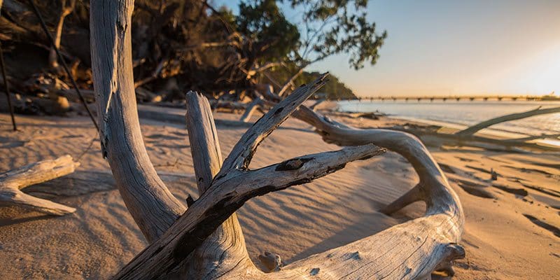 See the sunset on Fraser Island