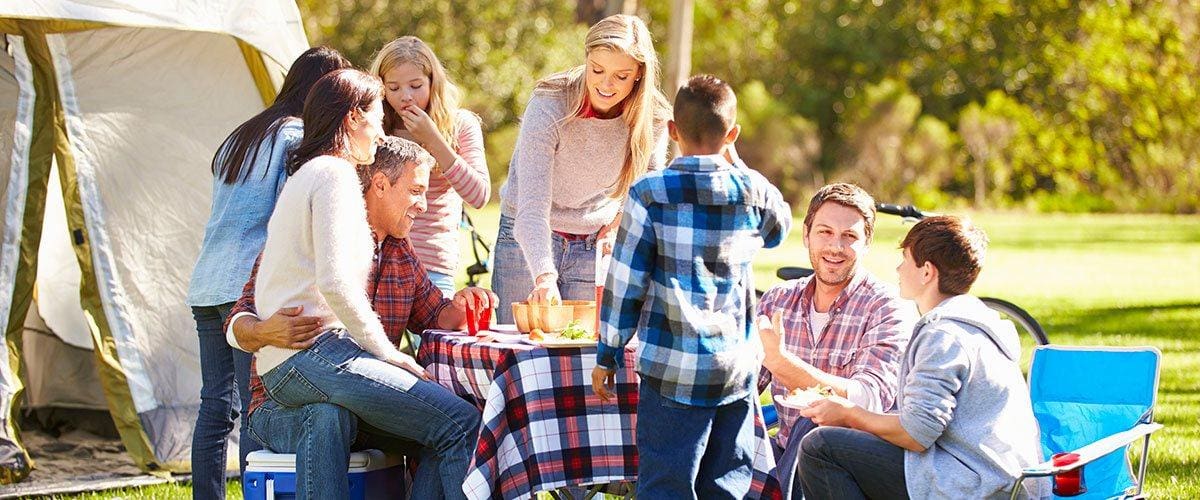 family picnic 