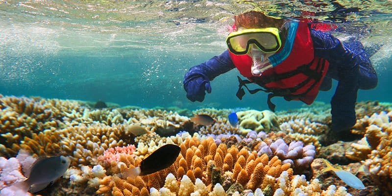 Discover the exciting world beneath the waves on the Great Barrier Reef