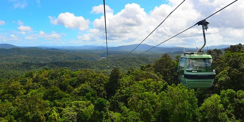 Glide above the canopy on the Skyrail Rainforest Cableway