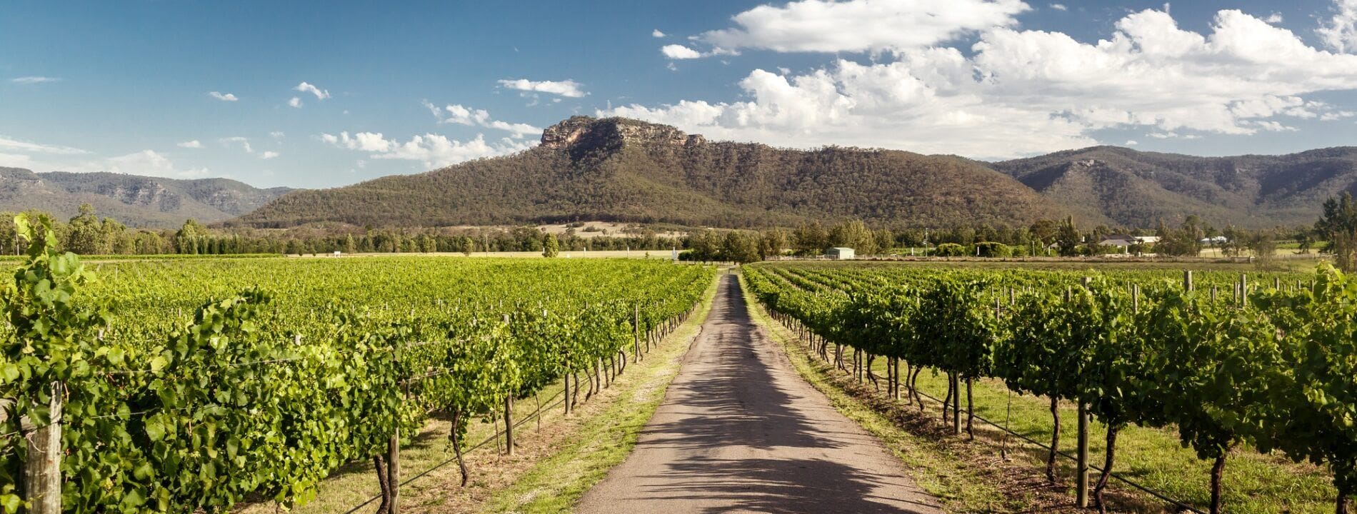 top 5 things to do in the hunter valley