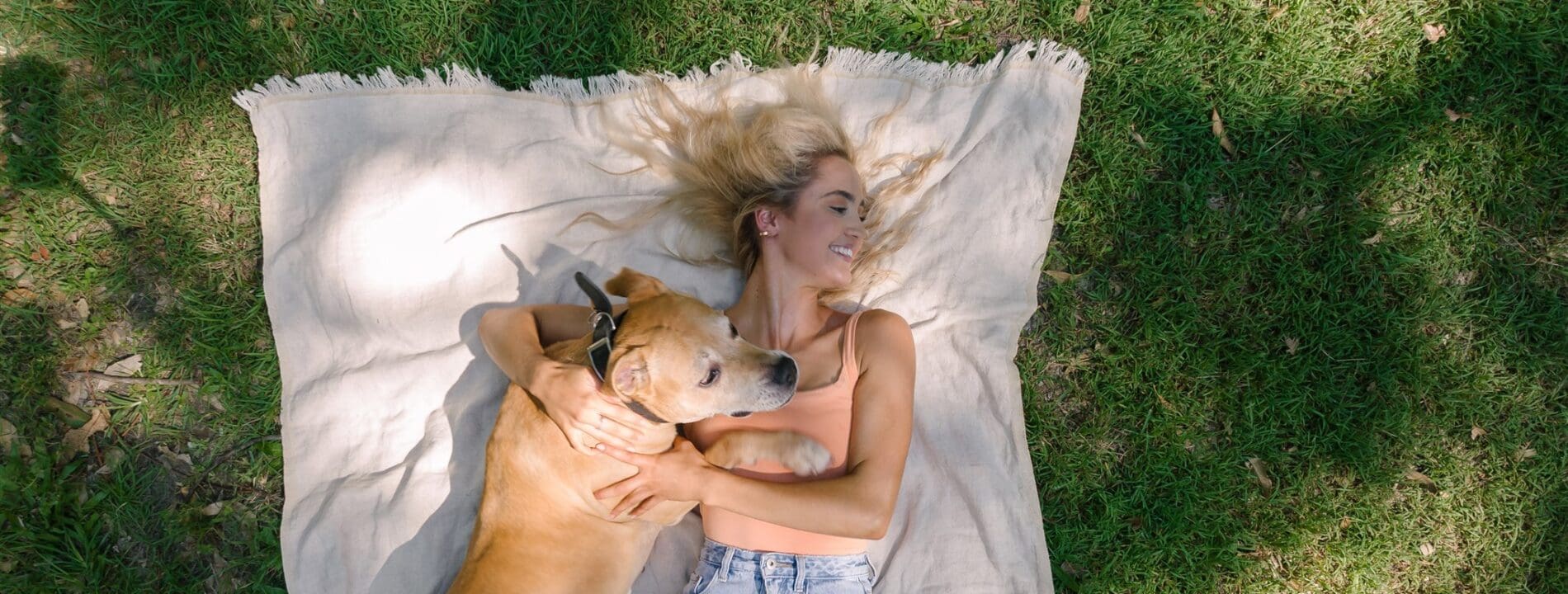 Dog and owner laying on a picnic blanket